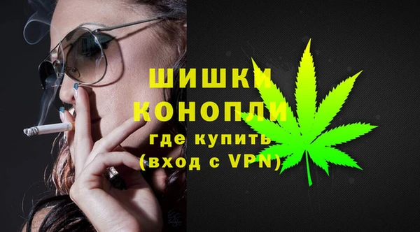 тгк Гусь-Хрустальный