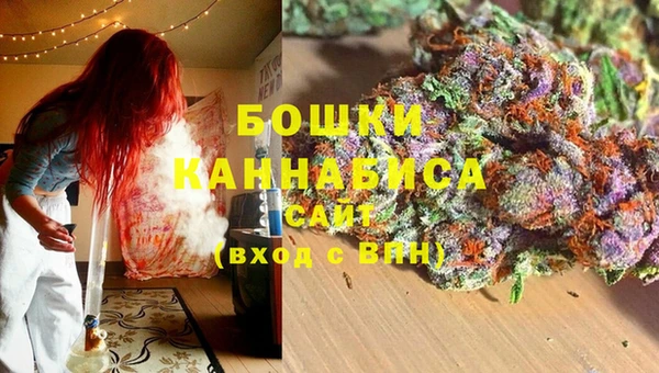 ECSTASY Дмитровск