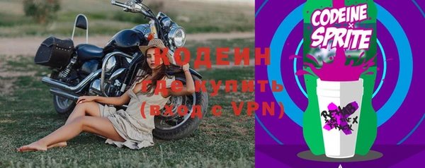 бошки Дмитриев
