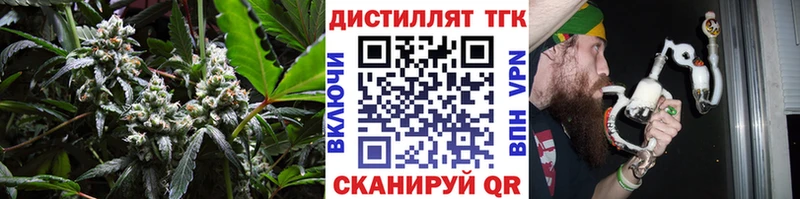 Купить Калтан ТГК жижа