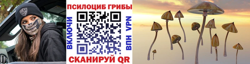 Купить  Калтан  Галлюциногенные грибы ЛСД 